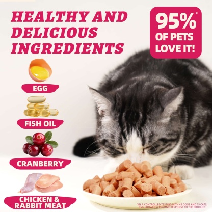 Wellix Rabbit & Cranberry Freeze-Dried Treats for Cats & Dogs – Hypoallergenic, Grain-Free Treats for Cat Bladder, Kidney & UTI Support-CritterCorner