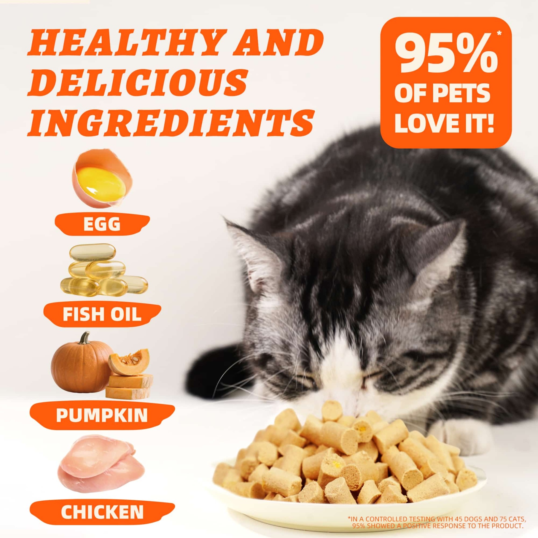 Wellix Chicken & Pumpkin Freeze-Dried Treats for Cats & Dogs – Grain-Free Crunchy Food Topper & Training Snacks, Supports Gut Health & Digestive System-CritterCorner