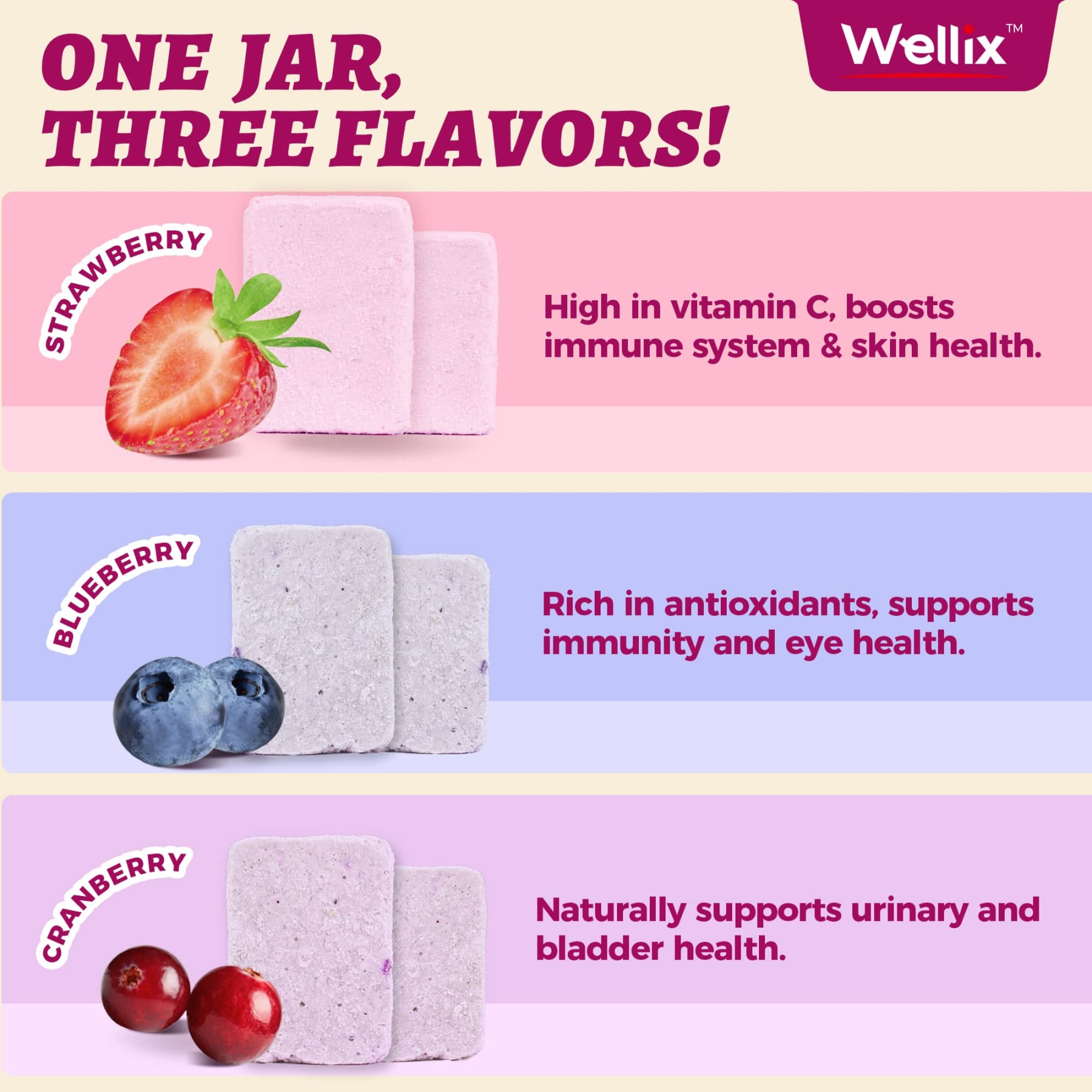 Wellix Freeze-Dried Probiotic Yogurt Cat Treats – 4.23oz (120g) Chicken & Berry Blend (Strawberry, Blueberry, Cranberry) for Immune, Eye & Urinary Health-CritterCorner