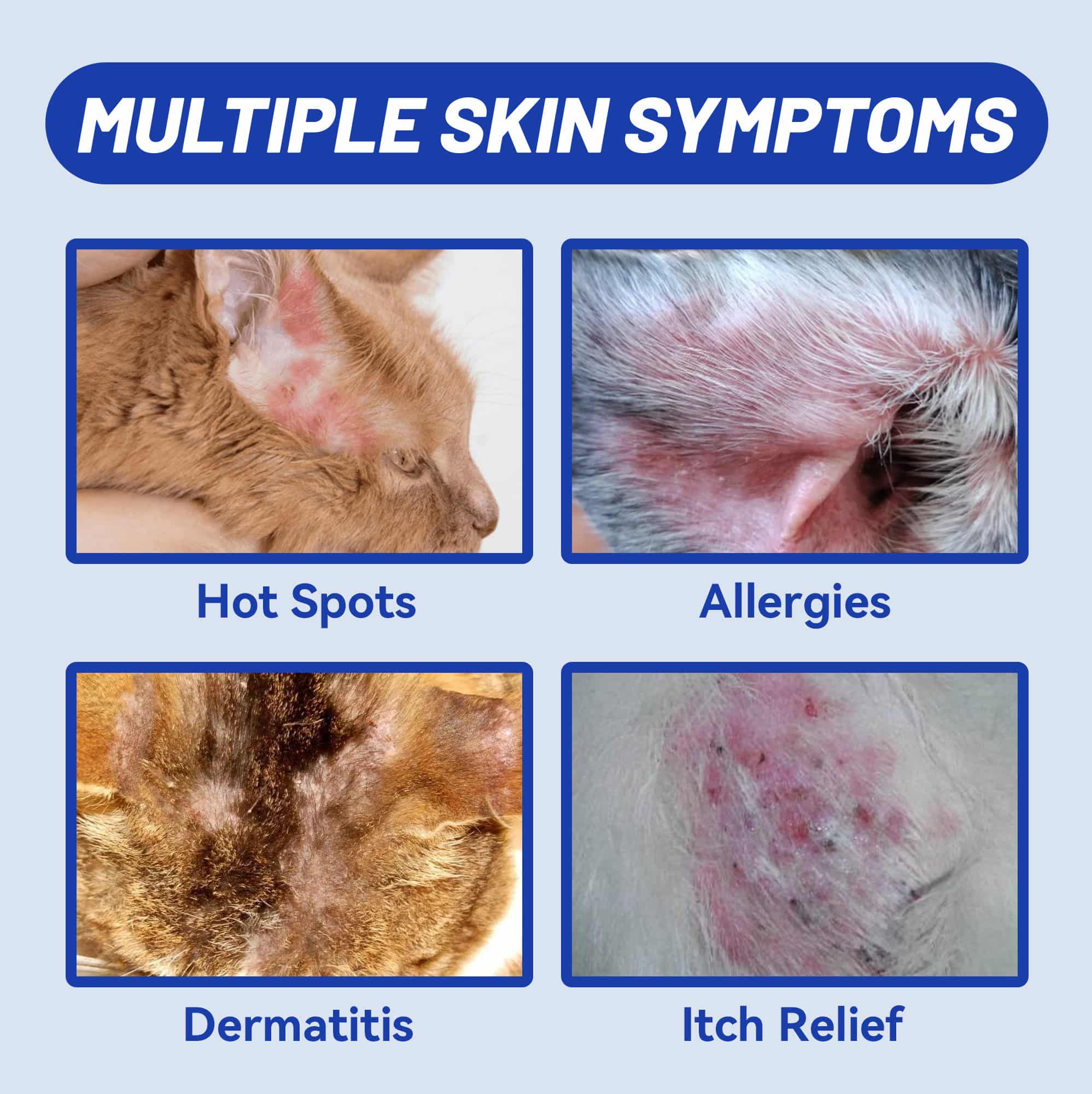 Wellix Dog & Cat Hot Spot Spray – 80ml Plant-Based Formula for Itch & Redness Relief, Promotes Skin Comfort-CritterCorner