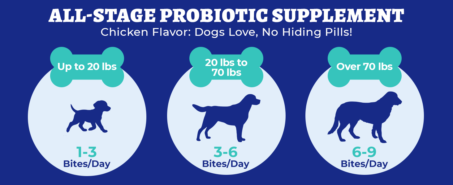 probioticos perros