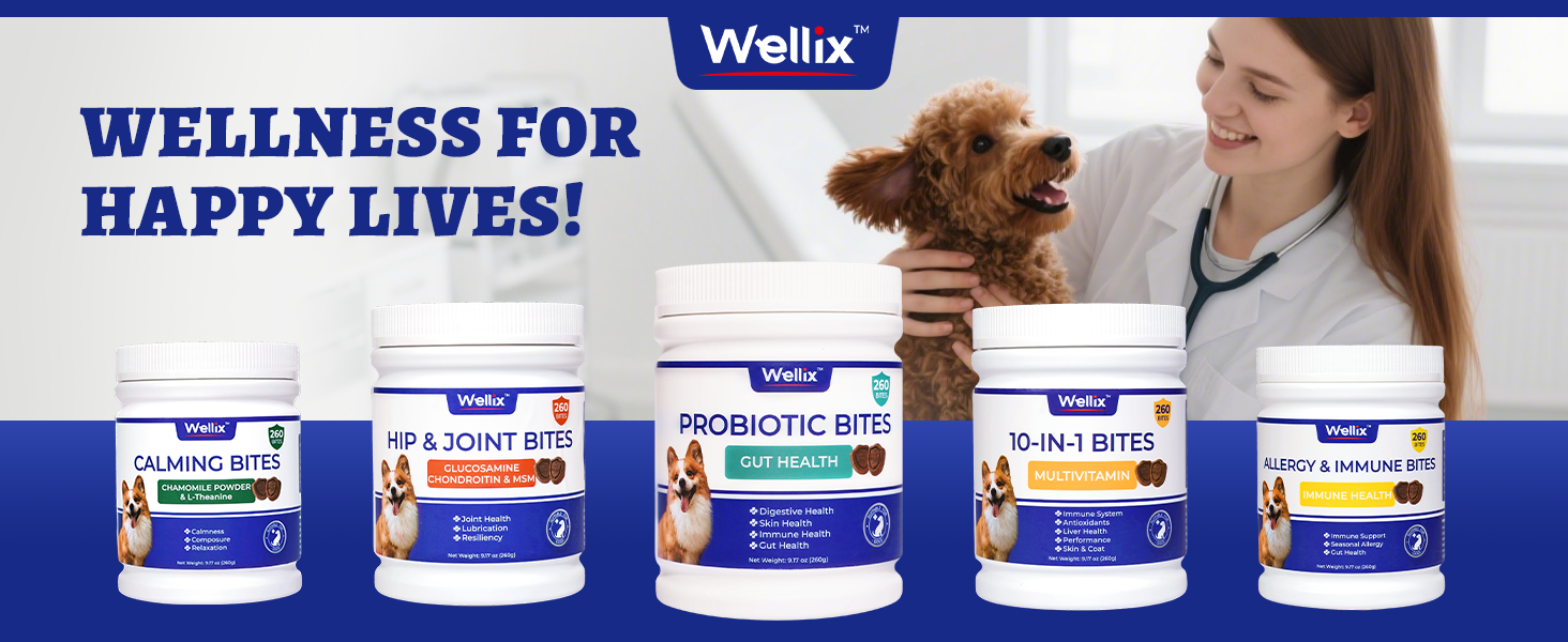 skin and coat supplement for dogs