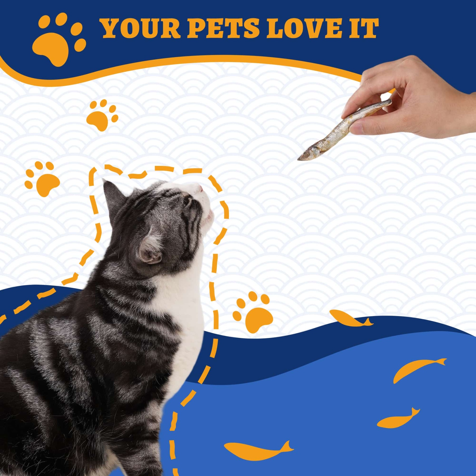 JUSTTRY Freeze-Dried Capelin Fish – Raw Dog Treats,Single-Ingredient Dog & Cat Snacks, High-Protein & Omega-3 for Skin Health, 10.58oz-CritterCorner