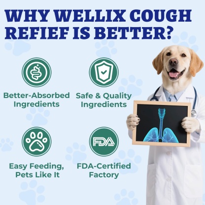 Wellix Kennel Cough Treatment Drops for Dogs & Cats - All Herbal Formula for Dog Cough, Sneezing & Cat Cold Relief - Bacon Flavor 120ml-CritterCorner