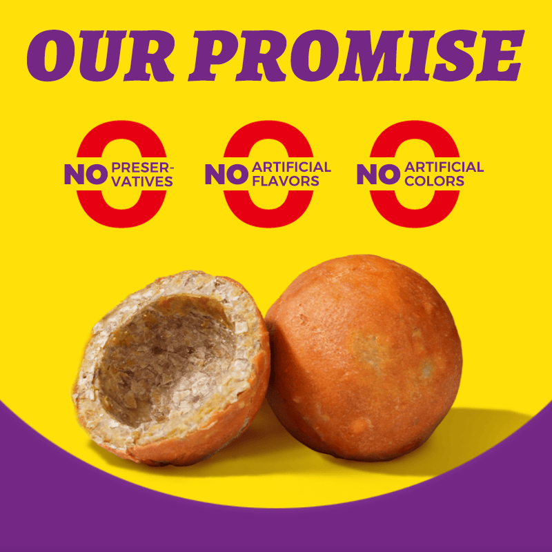 Wellix Handmade Beef Hide Treat Ball – 5.23oz (150g) Natural Beef & Chicken Chew for Dogs, Durable & Dental Health-CritterCorner