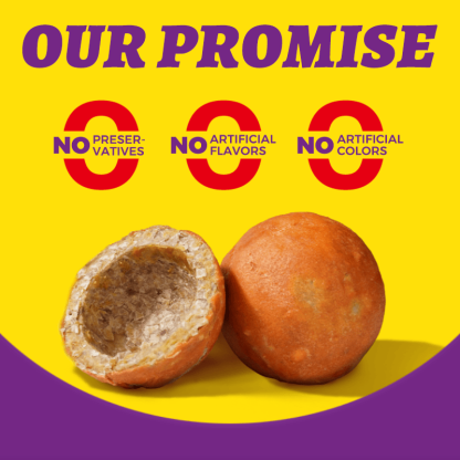 Wellix Handmade Beef Hide Treat Ball – 5.23oz (150g) Natural Beef & Chicken Chew for Dogs, Durable & Dental Health-CritterCorner