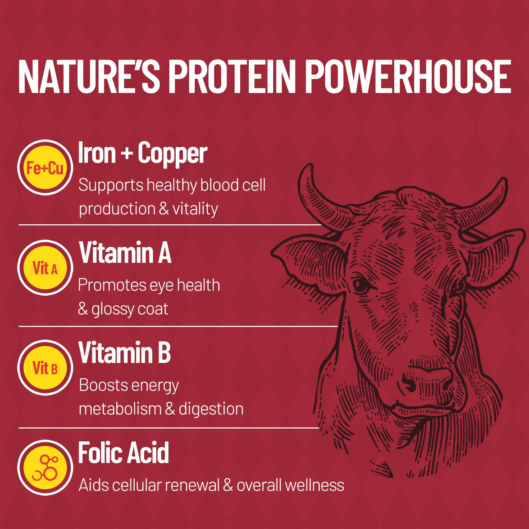 JUSTTRY Freeze-Dried Beef Liver – Single-Ingredient High-Protein Grain-Free Training Treats for Dogs & Cats, Rich in Iron & Vitamin A for Immune & Skin Health,,8.82oz-CritterCorner