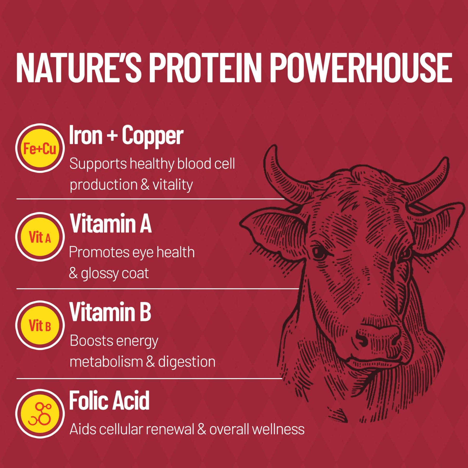 JUSTTRY Freeze-Dried Beef Liver – Single-Ingredient High-Protein Grain-Free Training Treats for Dogs & Cats, Rich in Iron & Vitamin A for Immune & Skin Health,,8.82oz-CritterCorner