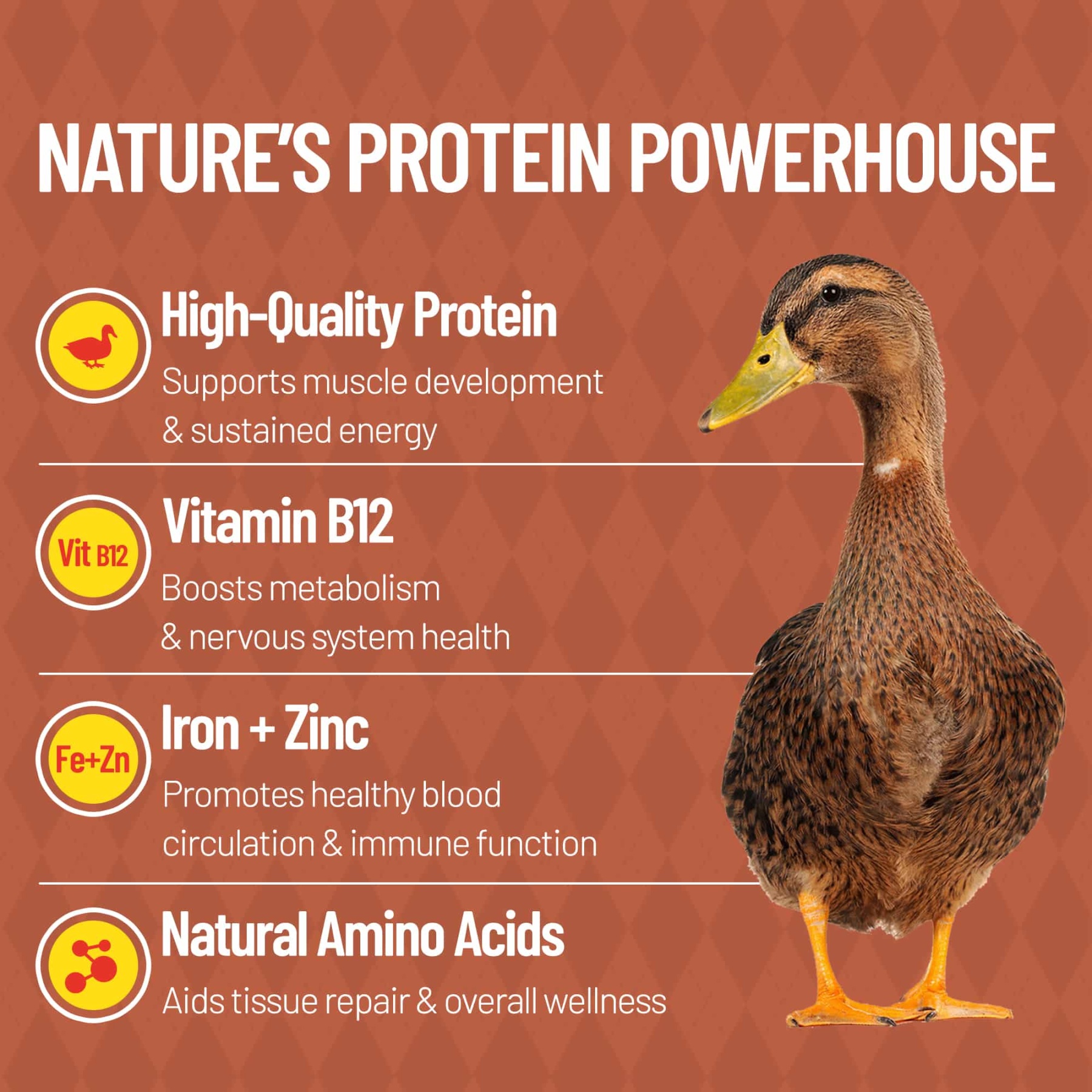 JUSTTRY Freeze-Dried Duck Cubes – Single-Ingredient Grain-Free High-Protein Training Treats for Dogs & Cats, Supports Skin & Joint Health，6.35oz-CritterCorner