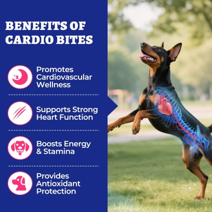 Wellix Cardio Bites for Dogs – 260 Counts with CoQ10, Taurine, Fish Oil & L-Carnitine, Supports Cardiovascular Health & Antioxidant-CritterCorner