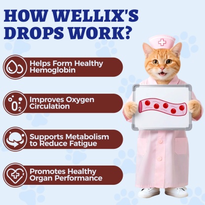 Wellix Liquid Iron Supplement for Cats & Dogs – 4 oz Vitamin B12 & C for Anemia, Hemoglobin Boost & Energy Support, for Growing Puppies and Kittens-CritterCorner
