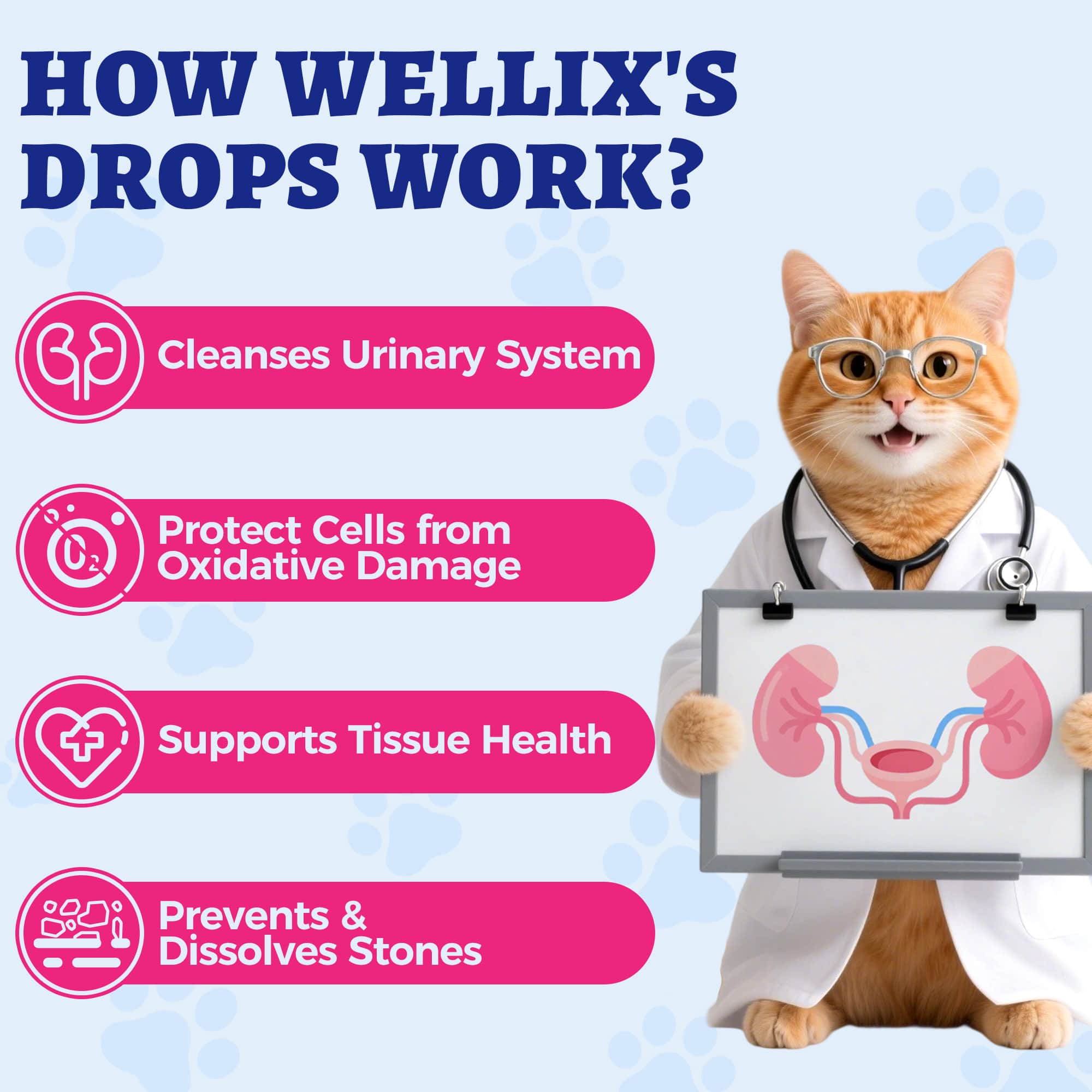 Wellix UrinaryTract Drops with Cranberry for Cats & Dogs – 4 oz Cranberry & D-Mannose for Urinary, Bladder & Kidney Health-CritterCorner