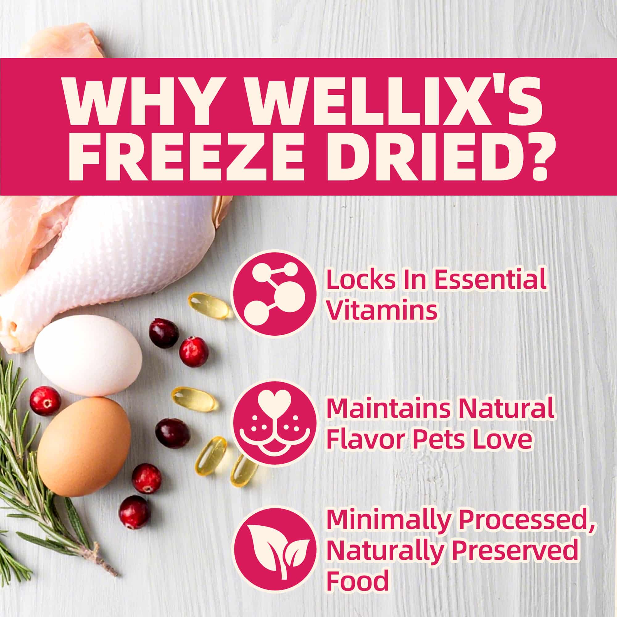 Wellix Rabbit & Cranberry Freeze-Dried Treats for Cats & Dogs – Hypoallergenic, Grain-Free Treats for Cat Bladder, Kidney & UTI Support-CritterCorner