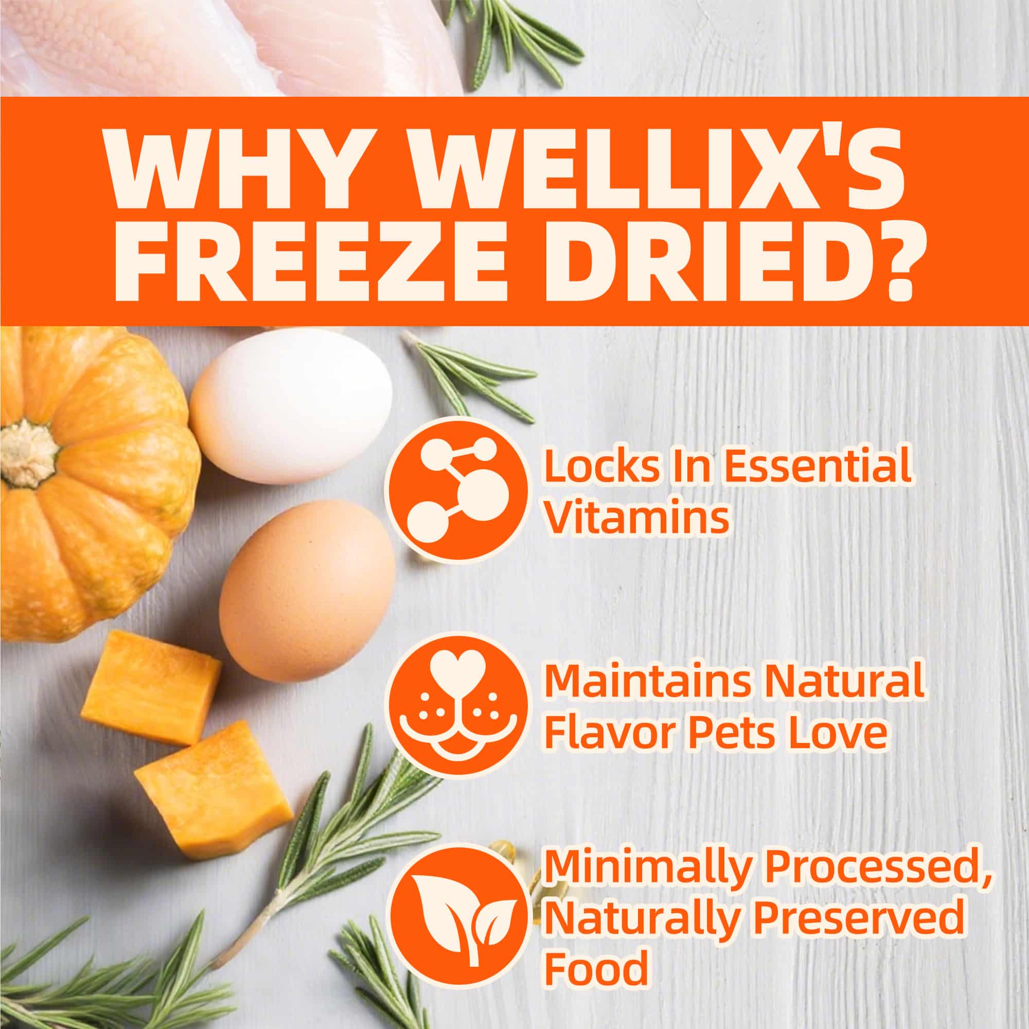 Wellix Chicken & Pumpkin Freeze-Dried Treats for Cats & Dogs – Grain-Free Crunchy Food Topper & Training Snacks, Supports Gut Health & Digestive System-CritterCorner