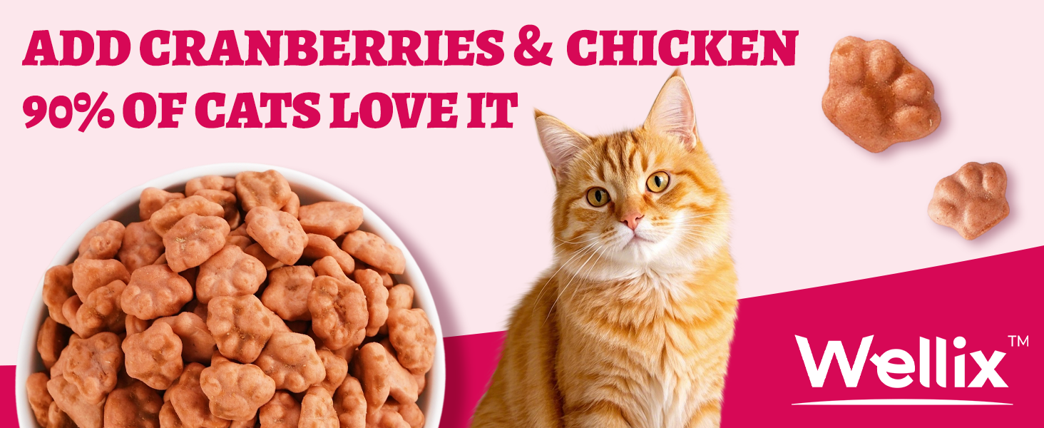 cat treats for indoor cats 