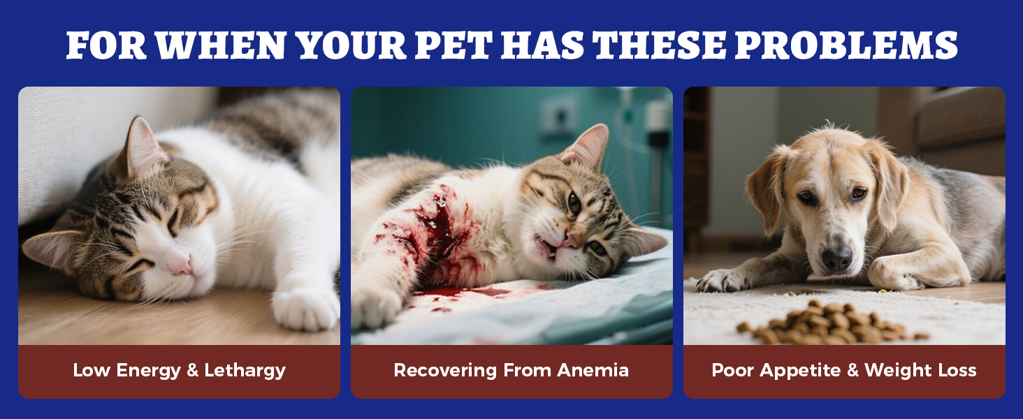 iron supplement for dogs