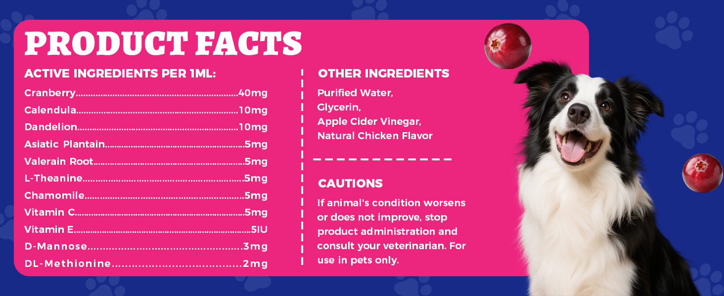 urinary support for cats