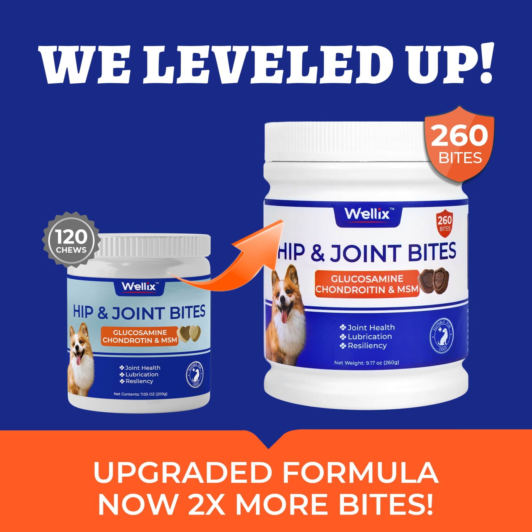 Wellix Dog Hip & Joint Bites – 260 Count Joint Supplement with Glucosamine, Chondroitin & MSM for Arthritis Pain Relief-CritterCorner