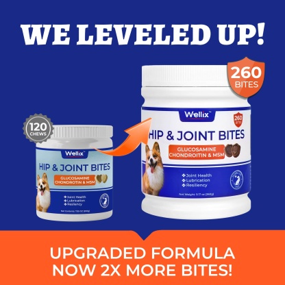 Wellix Dog Hip & Joint Bites – 260 Count Joint Supplement with Glucosamine, Chondroitin & MSM for Arthritis Pain Relief-CritterCorner