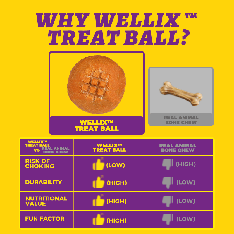 Wellix Handmade Beef Hide Treat Ball – 5.23oz (150g) Natural Beef & Chicken Chew for Dogs, Durable & Dental Health-CritterCorner