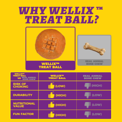 Wellix Handmade Beef Hide Treat Ball – 5.23oz (150g) Natural Beef & Chicken Chew for Dogs, Durable & Dental Health-CritterCorner