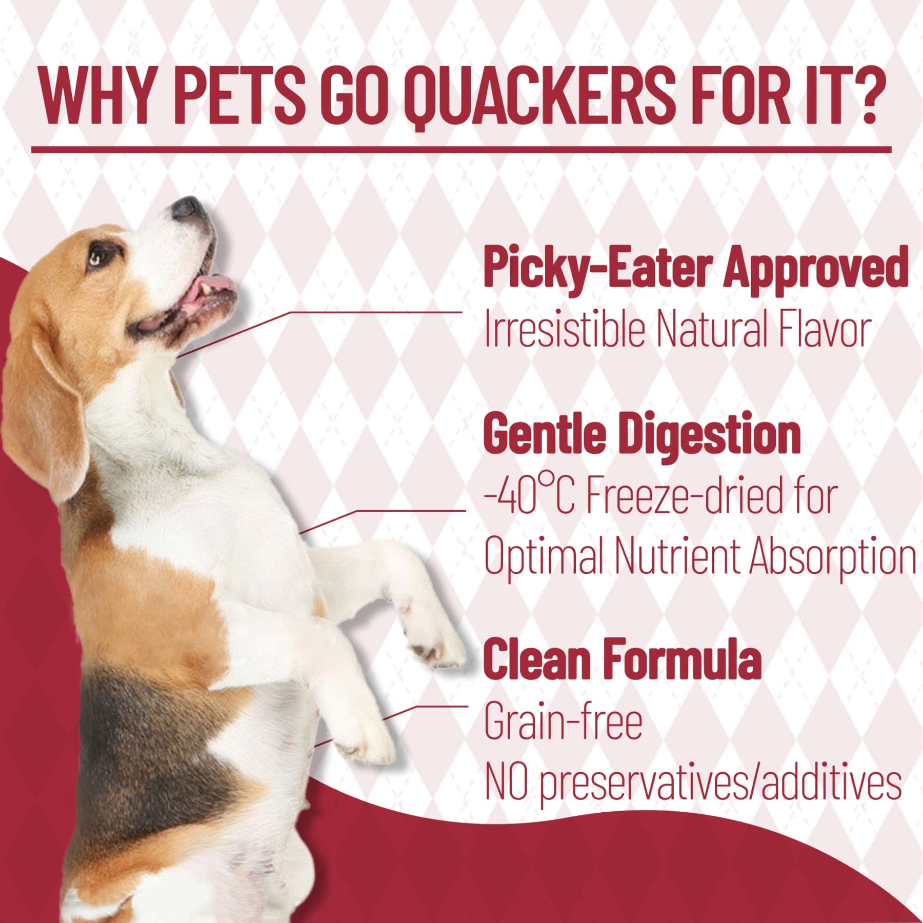 JUSTTRY Freeze-Dried Beef Liver – Single-Ingredient High-Protein Grain-Free Training Treats for Dogs & Cats, Rich in Iron & Vitamin A for Immune & Skin Health,,8.82oz-CritterCorner