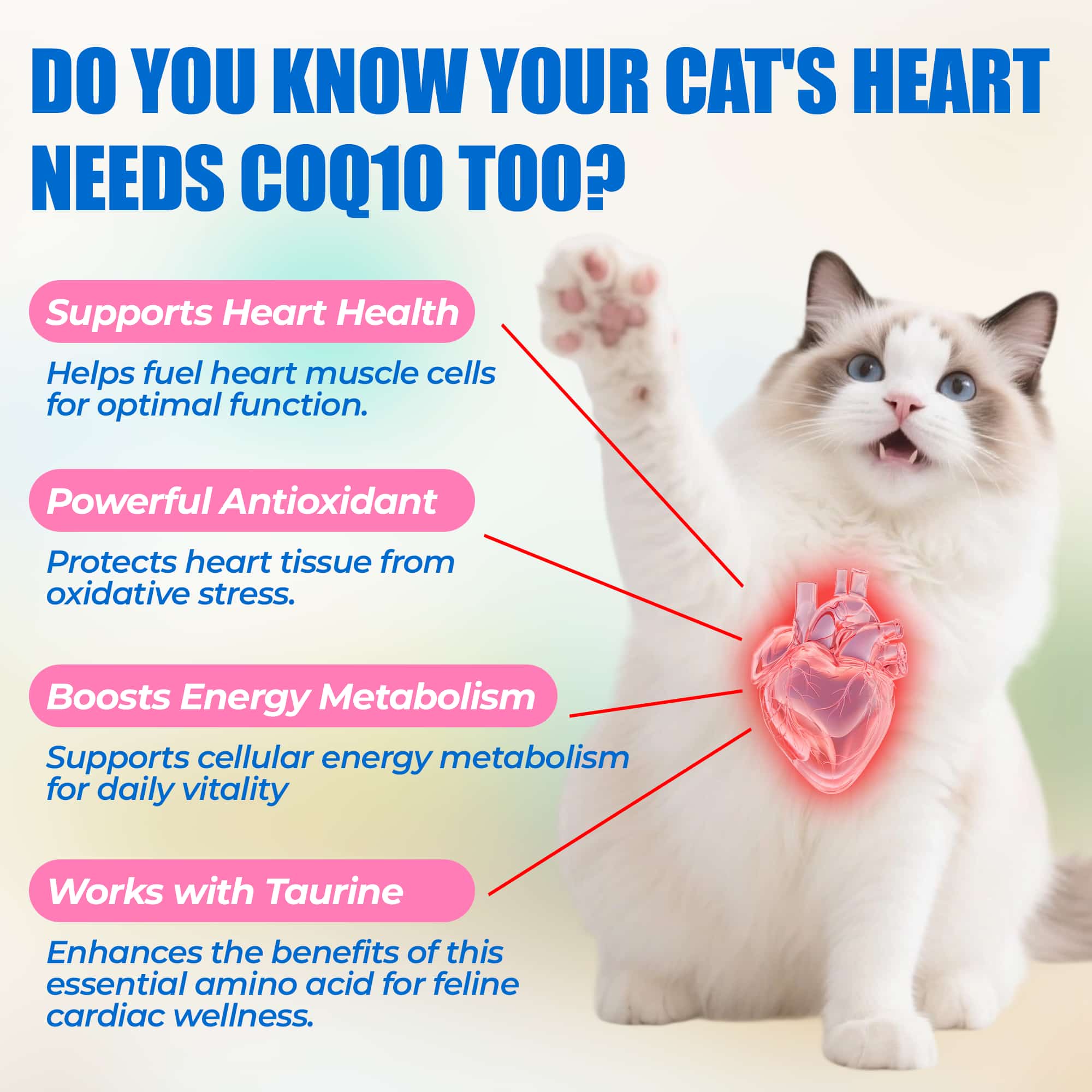 JUSTTRY CoQ10 Heart Health Bites – Chicken-Flavored  with CoQ10 & Taurine for Feline Heart Health, Cat Supplements  300 Count-CritterCorner
