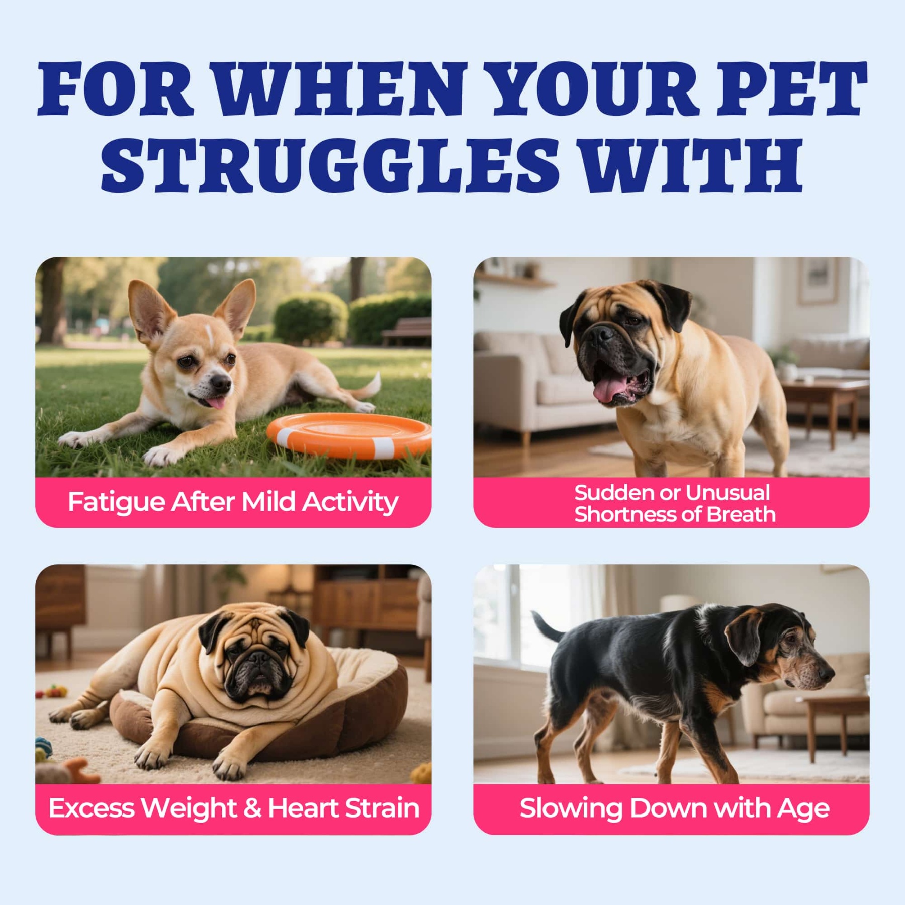 Wellix Cardio Bites for Dogs – 260 Counts with CoQ10, Taurine, Fish Oil & L-Carnitine, Supports Cardiovascular Health & Antioxidant-CritterCorner