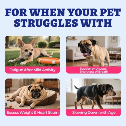 Wellix Cardio Bites for Dogs – 260 Counts with CoQ10, Taurine, Fish Oil & L-Carnitine, Supports Cardiovascular Health & Antioxidant-CritterCorner