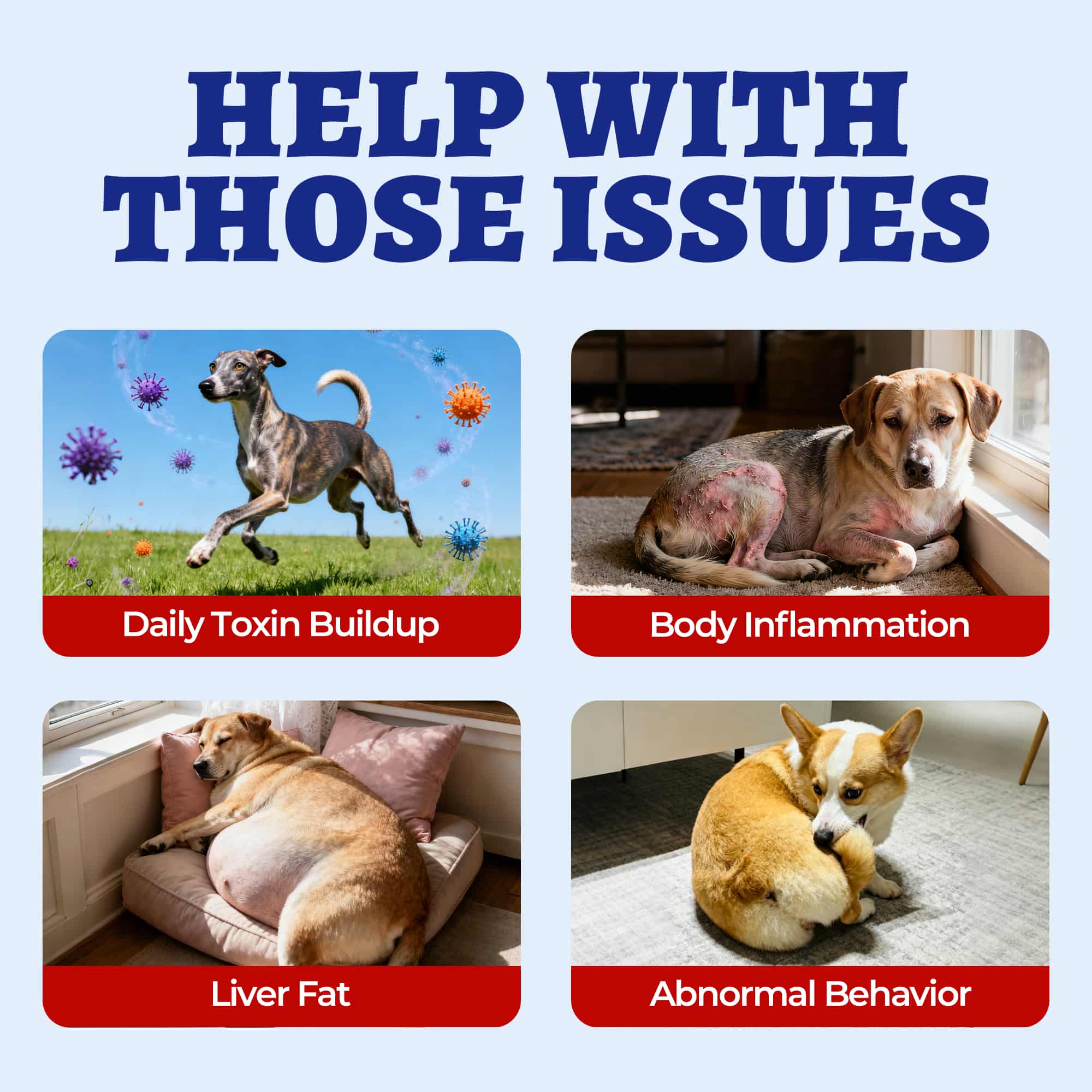 Wellix Liver Support for Dogs - Milk Thistle & Omega-3 Dog Supplement for Liver, Heart & Antioxidant Support - Chicken Flavor - 260 Bites-CritterCorner