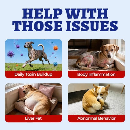 Wellix Liver Support for Dogs - Milk Thistle & Omega-3 Dog Supplement for Liver, Heart & Antioxidant Support - Chicken Flavor - 260 Bites-CritterCorner