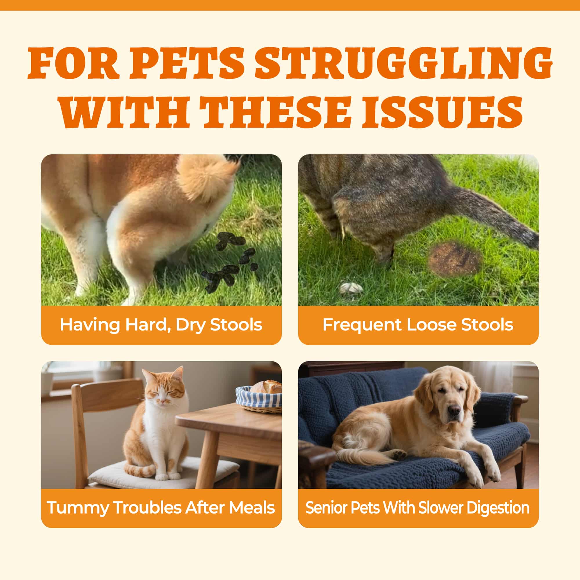 Wellix Pumpkin Powder for Dogs & Cats – Fiber Supplement for Digestive Health, Stool Firming & Gut Support-CritterCorner