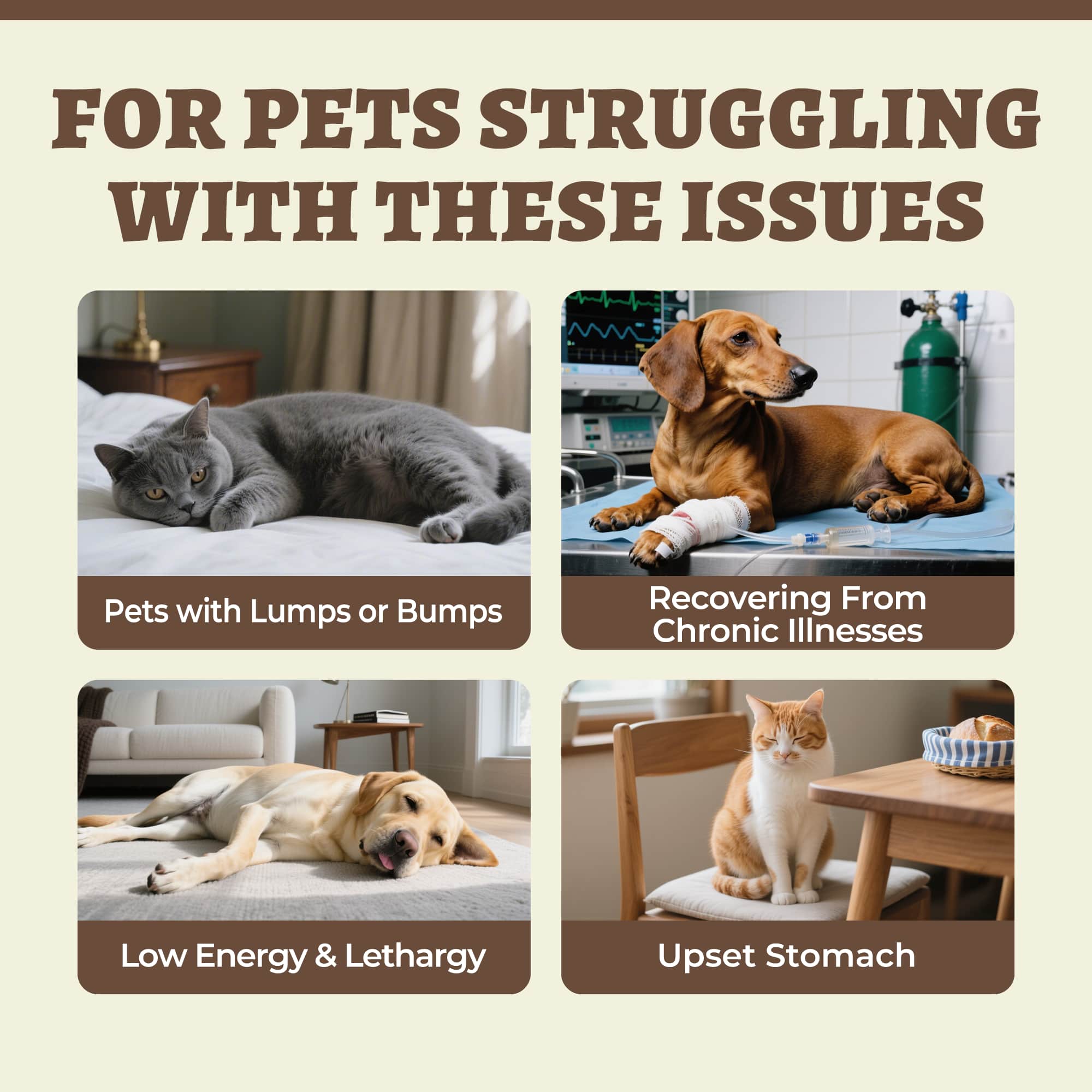 Wellix Mushroom Powder Powder for Dogs & Cats – With 8 Mushroom Blend Including Turkey Tail, Supports Immune, Digestive & Kidney Health-CritterCorner