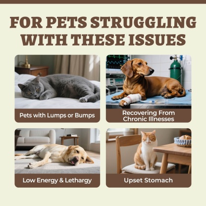 Wellix Mushroom Powder Powder for Dogs & Cats – With 8 Mushroom Blend Including Turkey Tail, Supports Immune, Digestive & Kidney Health-CritterCorner