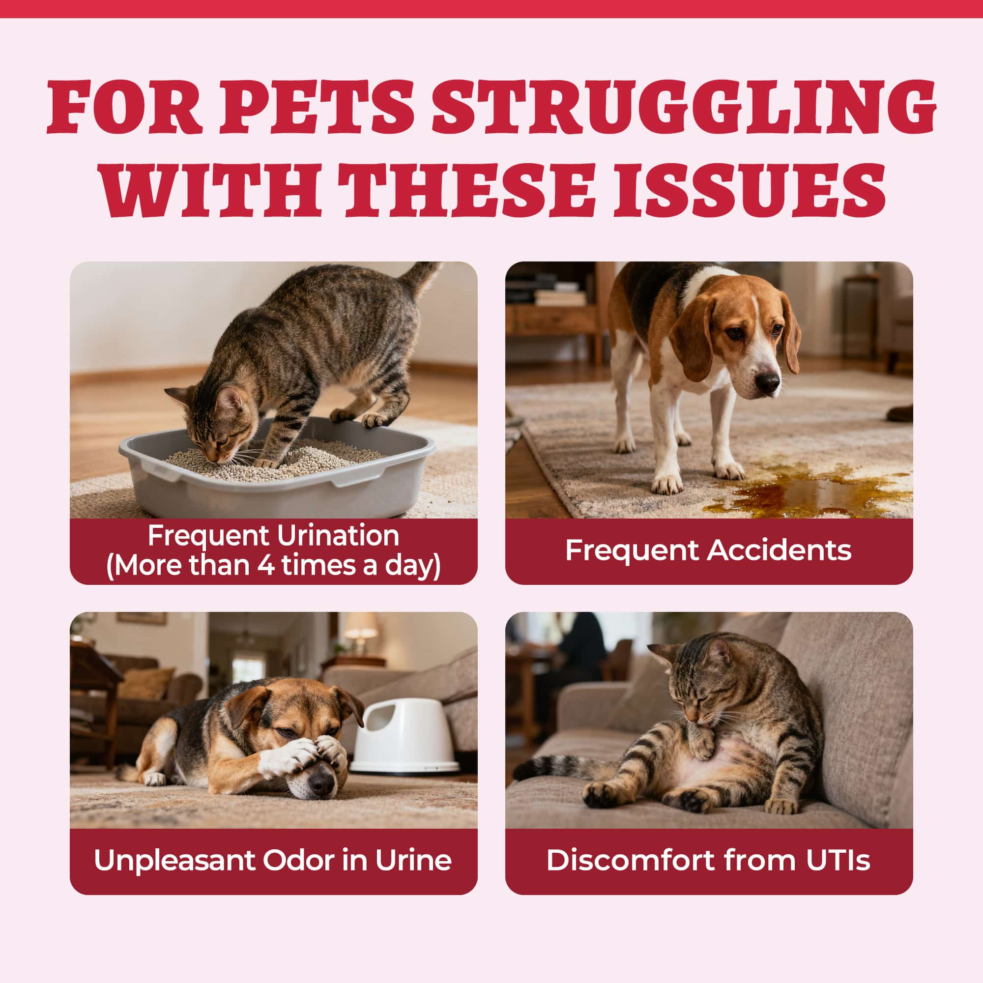 Wellix Urinary Powder for Dogs & Cats – 8.8 oz with D-Mannose & Cranberry Powder for UTI, Bladder & Kidney Support-CritterCorner