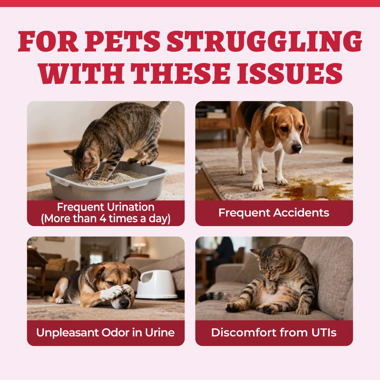 Wellix Urinary Powder for Dogs & Cats – 8.8 oz with D-Mannose & Cranberry Powder for UTI, Bladder & Kidney Support-CritterCorner