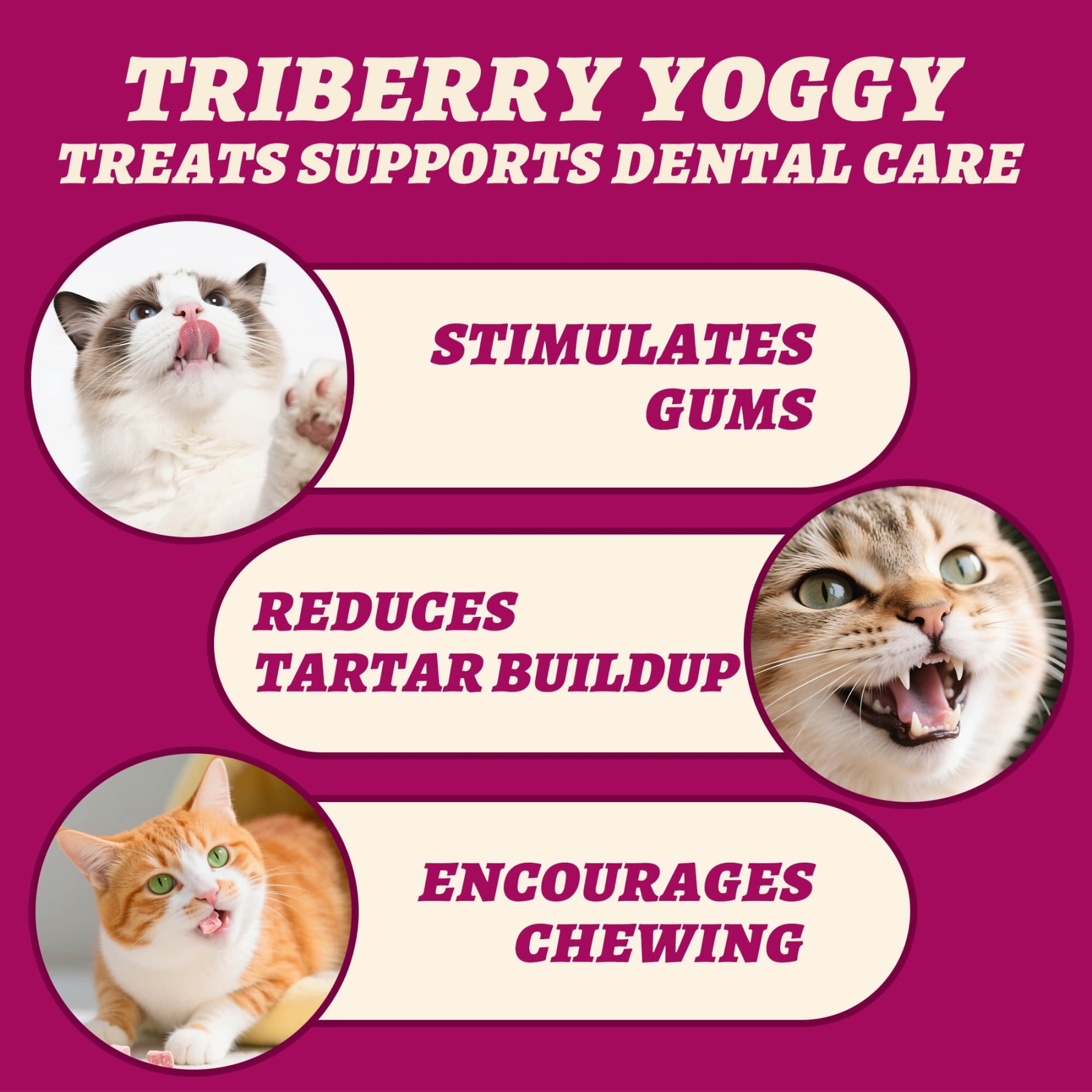 Wellix Freeze-Dried Probiotic Yogurt Cat Treats – 4.23oz (120g) Chicken & Berry Blend (Strawberry, Blueberry, Cranberry) for Immune, Eye & Urinary Health-CritterCorner