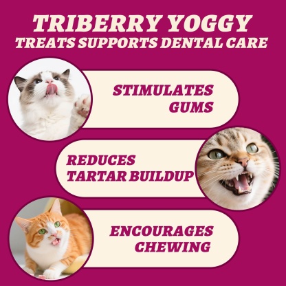 Wellix Freeze-Dried Probiotic Yogurt Cat Treats – 4.23oz (120g) Chicken & Berry Blend (Strawberry, Blueberry, Cranberry) for Immune, Eye & Urinary Health-CritterCorner