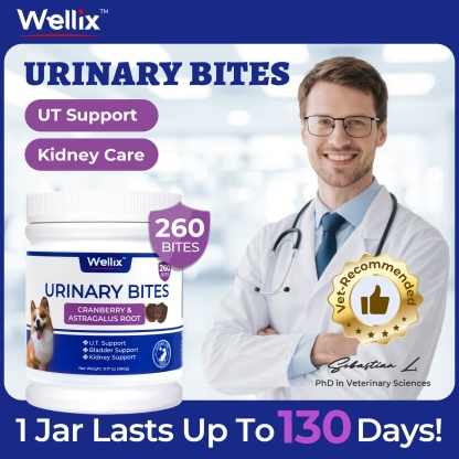 Wellix Urinary Bites for Dogs – 260 Count with Cranberry & D-Mannose for Urinary, Bladder & Kidney Support-CritterCorner