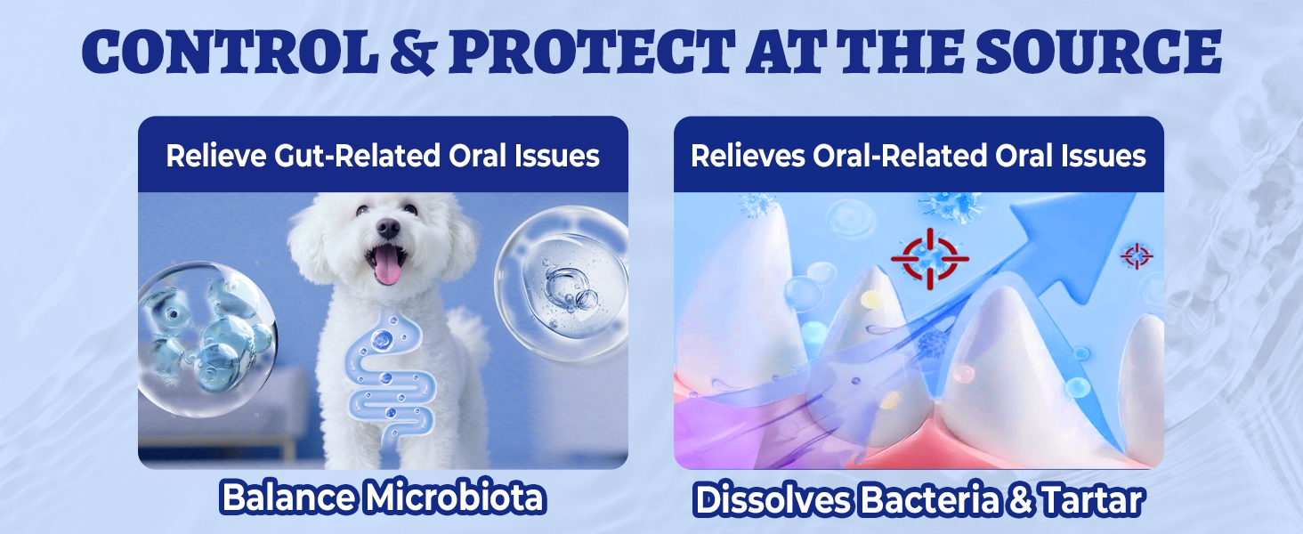 dog tooth brushing kit