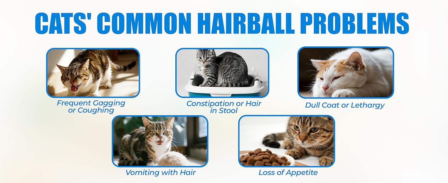 HAIRBALL