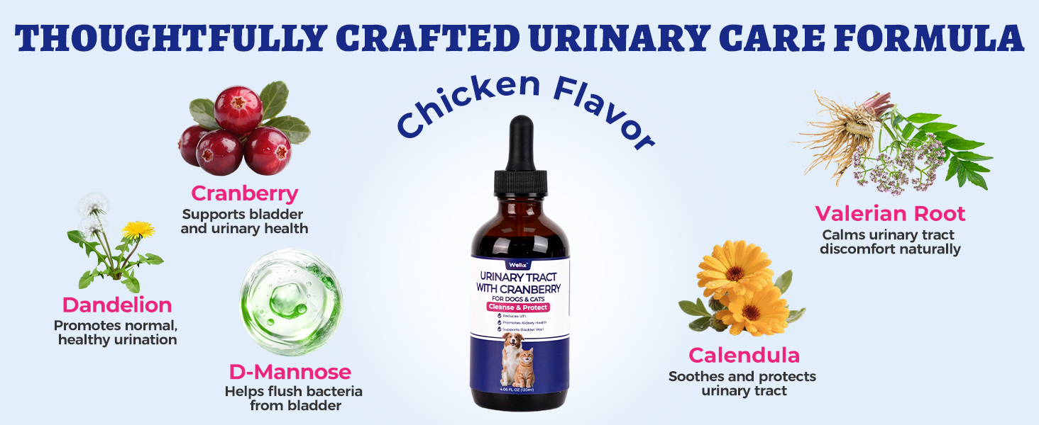 kidney support for cats