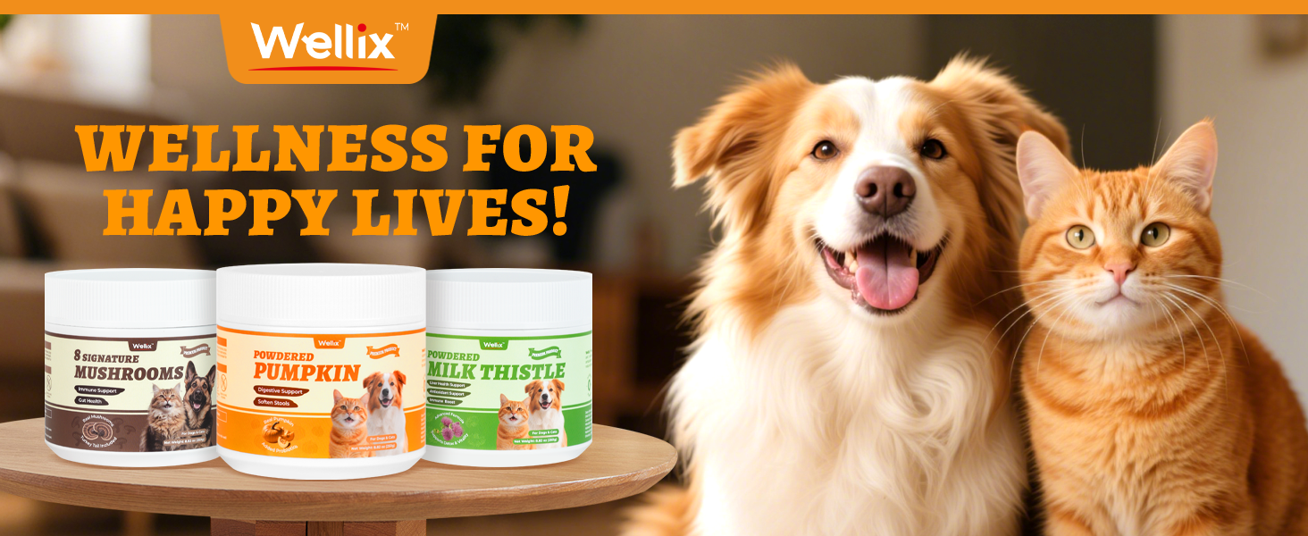 dog digestive support