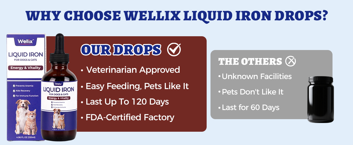 iron supplement liquid