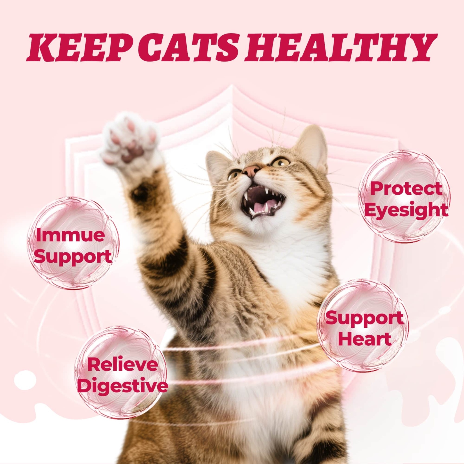 Wellix Lickable Cat Treats - Goat Milk & Chicken High-Protein Kitten Snacks - Squeezable Treats for Immunity & Digestion Support - 24 Tubes-CritterCorner