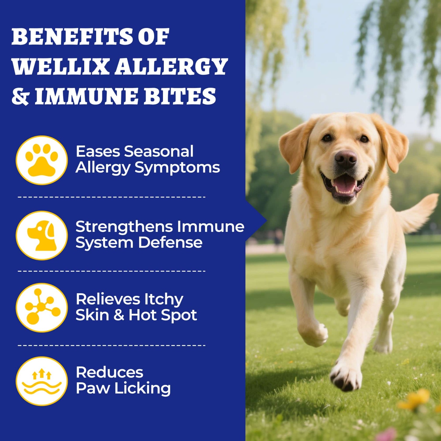 Wellix Dog Allergy & Immune Bites – 260 Counts Natural Ingredient Chews to Strengthen Immunity, Promote Shiny Coat, Relieve Itch & Redness-CritterCorner