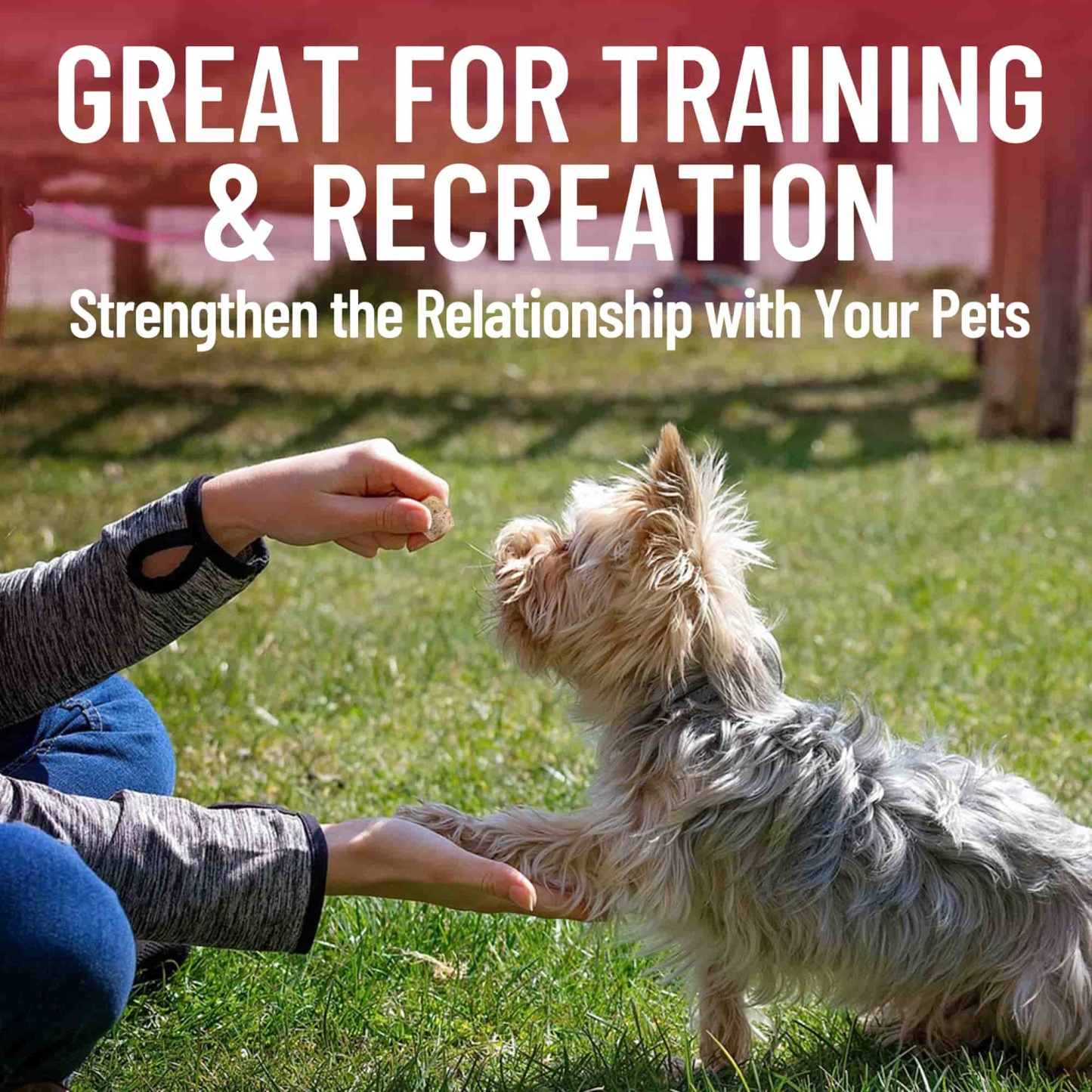 JUSTTRY Freeze-Dried Beef Liver – Single-Ingredient High-Protein Grain-Free Training Treats for Dogs & Cats, Rich in Iron & Vitamin A for Immune & Skin Health,,8.82oz-CritterCorner