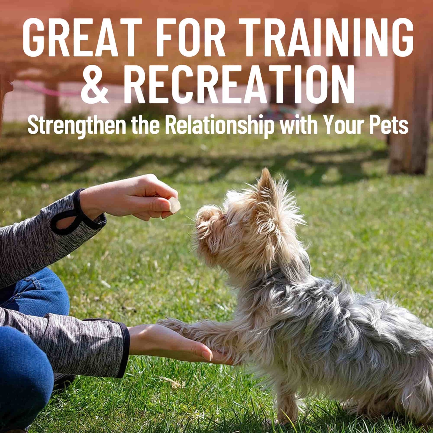 JUSTTRY Freeze-Dried Duck Cubes – Single-Ingredient Grain-Free High-Protein Training Treats for Dogs & Cats, Supports Skin & Joint Health，6.35oz-CritterCorner