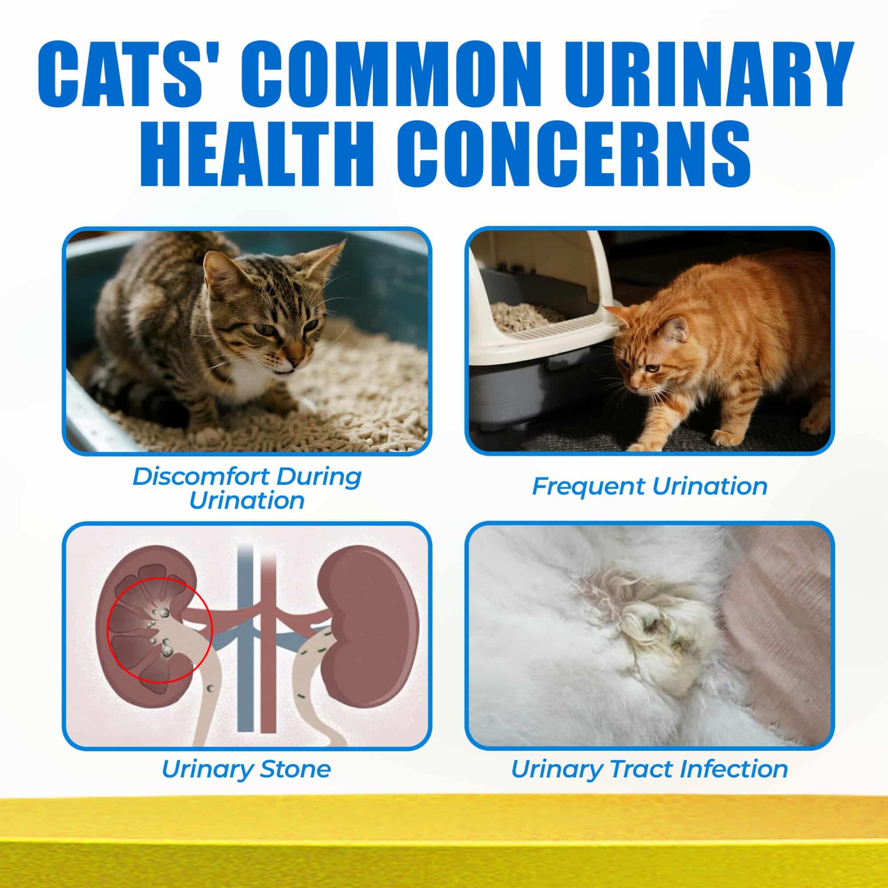 JUSTTRY Cat Urinary Tract Bites Cat Supplements – Cranberry & D-Mannose, Grain-Free Natural Snacks for Urinary Health & Cat Kidney Support, 6.35oz, 300 Bites-CritterCorner