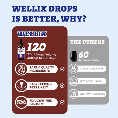 Wellix Liquid Iron Supplement for Cats & Dogs – 4 oz Vitamin B12 & C for Anemia, Hemoglobin Boost & Energy Support, for Growing Puppies and Kittens-CritterCorner